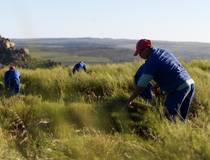  © Rooibos Servicebüro