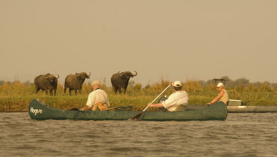 © African Bush Camps
